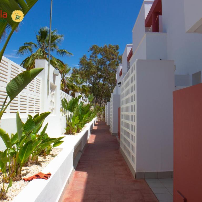 Apartamentos la Buganvilla - Apartamento de 1 dormitorio - 4