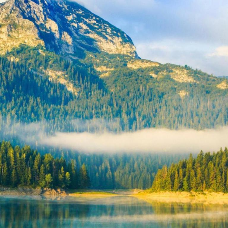 Wolf pit - One-Bedroom Apartment - 31