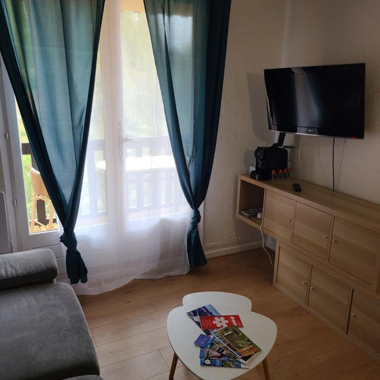 Studio face aux pistes de La Colmiane - Appartement 1 Chambre - 2