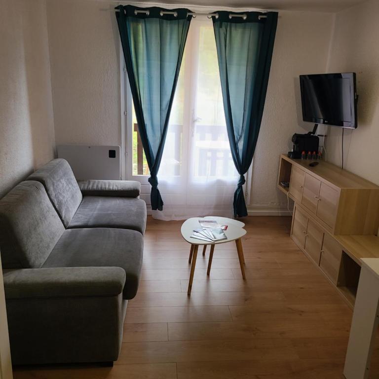 Studio face aux pistes de La Colmiane - Appartement 1 Chambre - 1