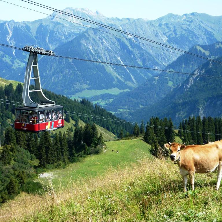 Alpenflair Ferienwohnungen Whg 201 "Doris" - Apartment mit 1 Schlafzimmer - 39