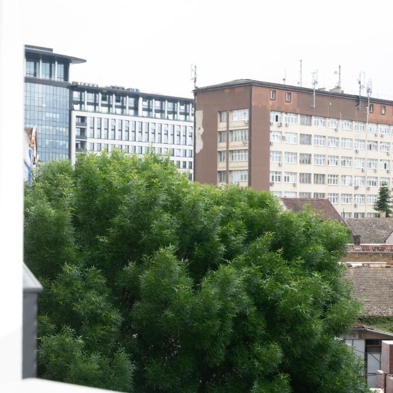 Elegant Downtown Apartment with Private Parking - Apartman sa 1 Spavaćom Sobom - 29