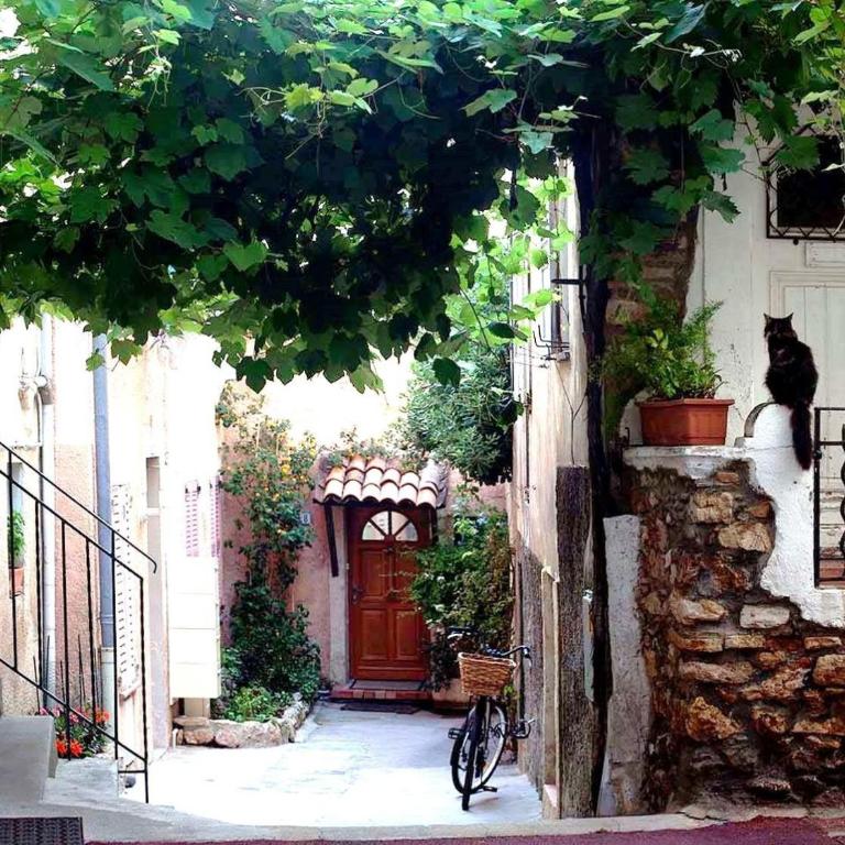 Koselig leilighet i Antibes - Apartment mit 1 Schlafzimmer - 1
