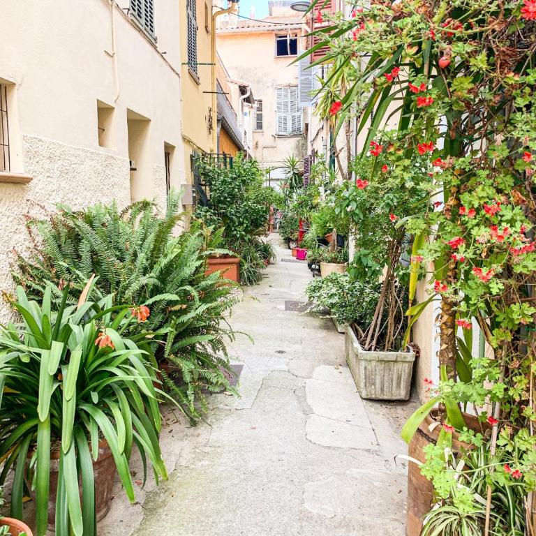 Koselig leilighet i Antibes - Apartment mit 1 Schlafzimmer - 18