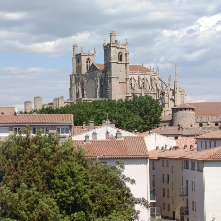 Grand T2 50m2 Narbonne centre, vue sur cathédrale - Apartamento de 1 dormitorio - 4