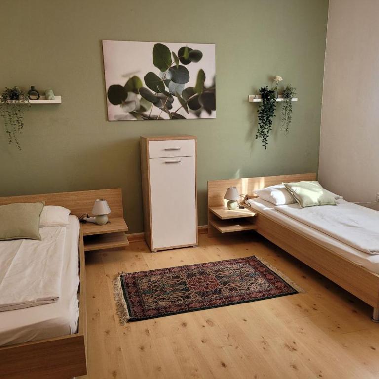 Ferienwohnung Hahn Graz (souterrain) - Appartement - 13