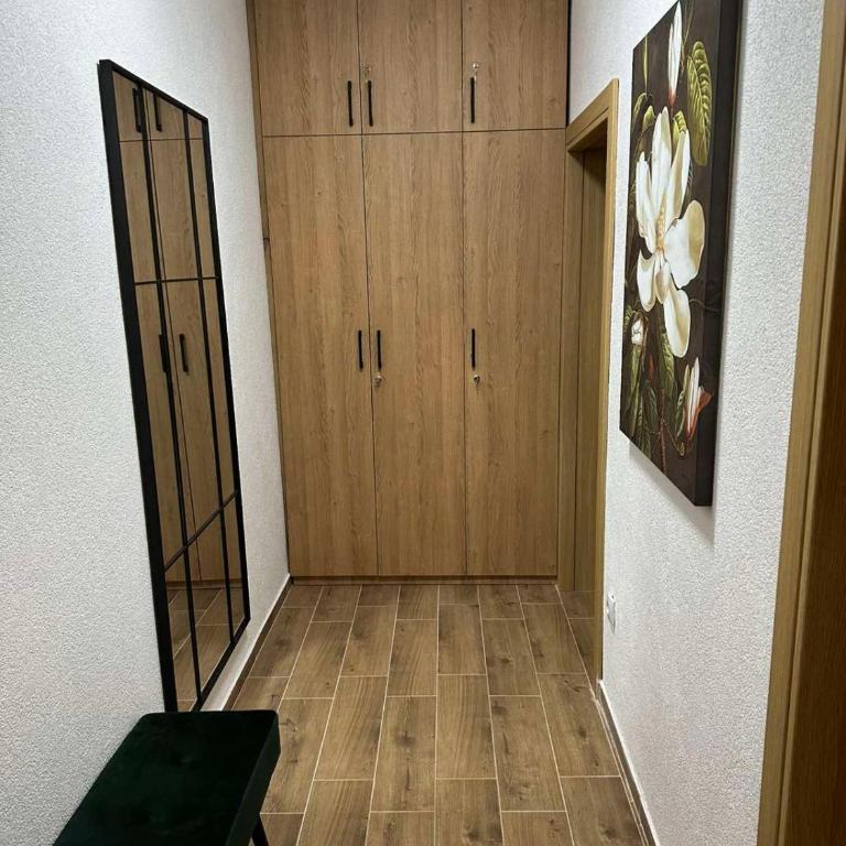 MIL apartment Sokobanja - Apartman sa 1 Spavaćom Sobom - 3