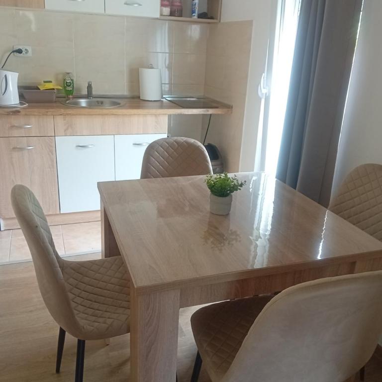 Apartman Aleksandar Aco - One-Bedroom Apartment - 8