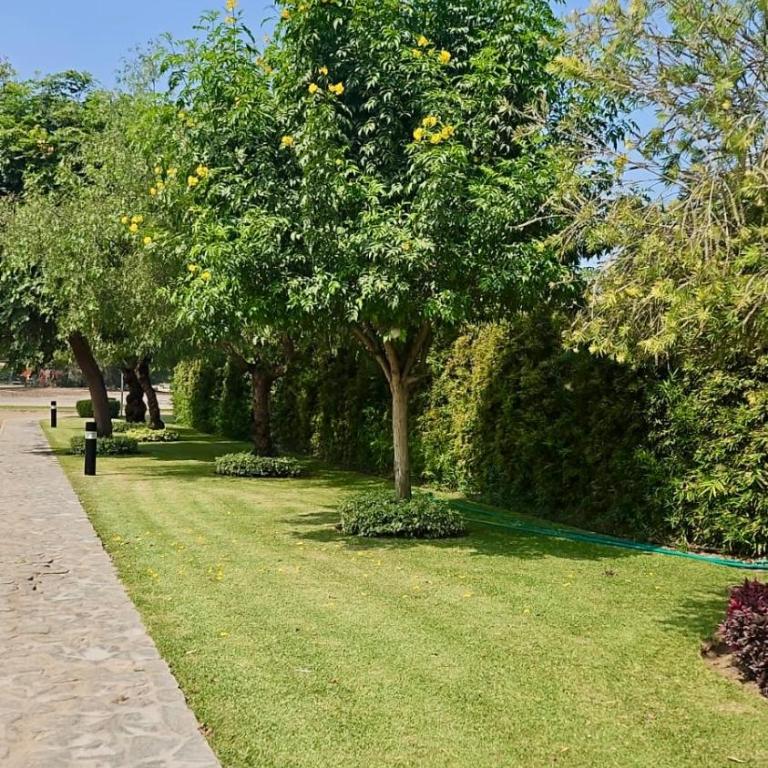 Modern Country House in a Condominium - Four-Bedroom House - 52