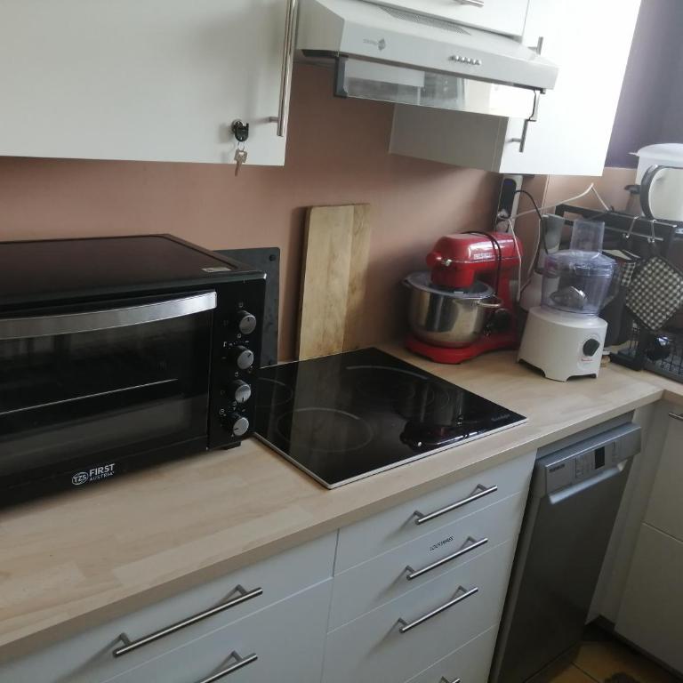 Chambres près des 24H avec 1 lit et 1 lit d'appoint -60kg - Zweibettzimmer - 7