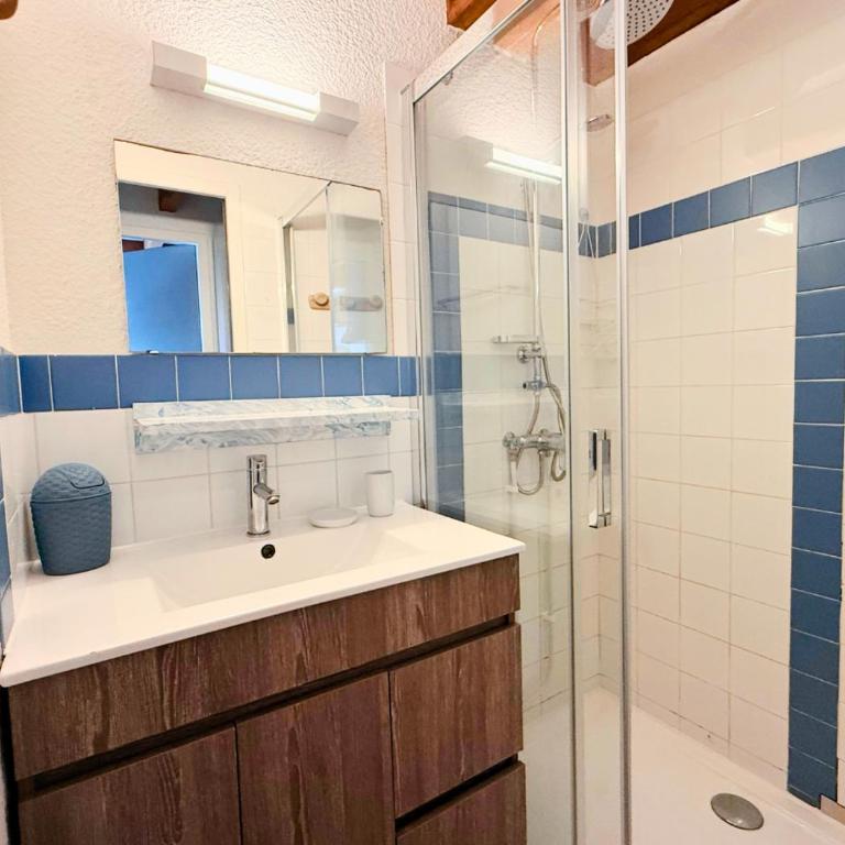 Duplex la Baleine Bleue - Maison 2 Chambres - 13