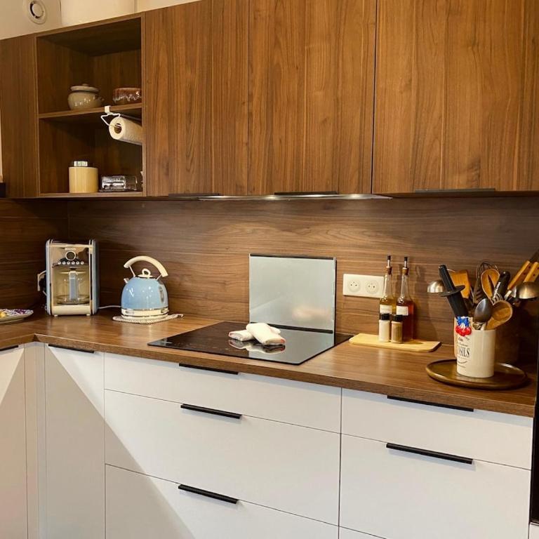 "Maison Bleue" Quartier Haut,Clim,Parking,Jardin - Maison 3 Chambres - 3