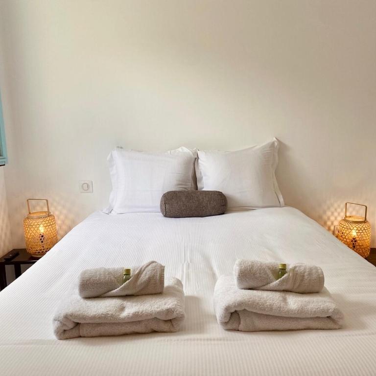 "Maison Bleue" Quartier Haut,Clim,Parking,Jardin - Maison 3 Chambres - 24
