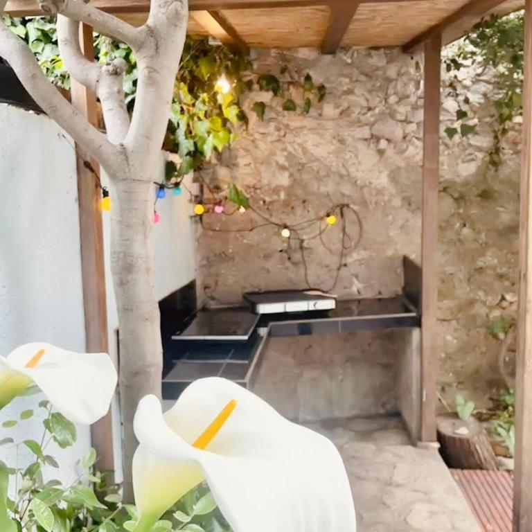 "Maison Bleue" Quartier Haut,Clim,Parking,Jardin - Maison 3 Chambres - 46