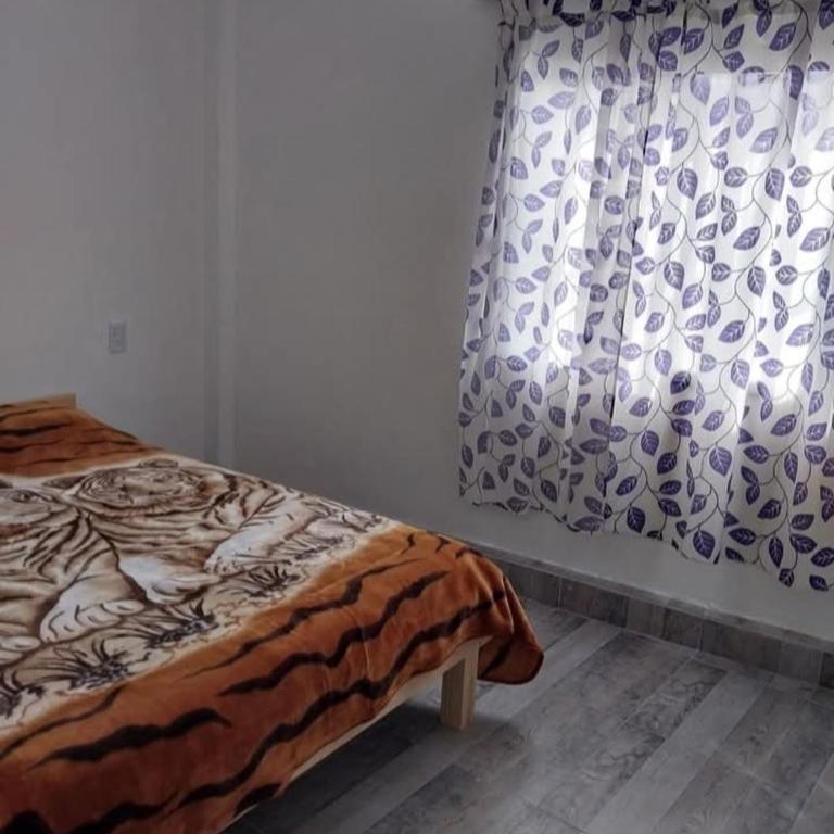 Hous Rama - Apartamento de 1 dormitorio - 2