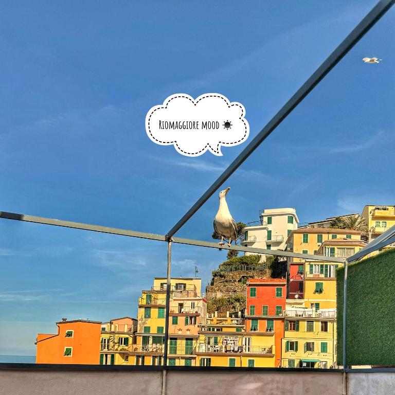 il Lunario - Camera Matrimoniale con Balcone e Vista Mare - 7