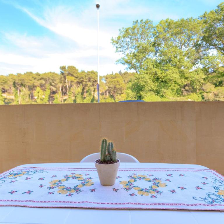 Grace - Apartment with large veranda, Otranto - Casa con 2 Camere da Letto - 2