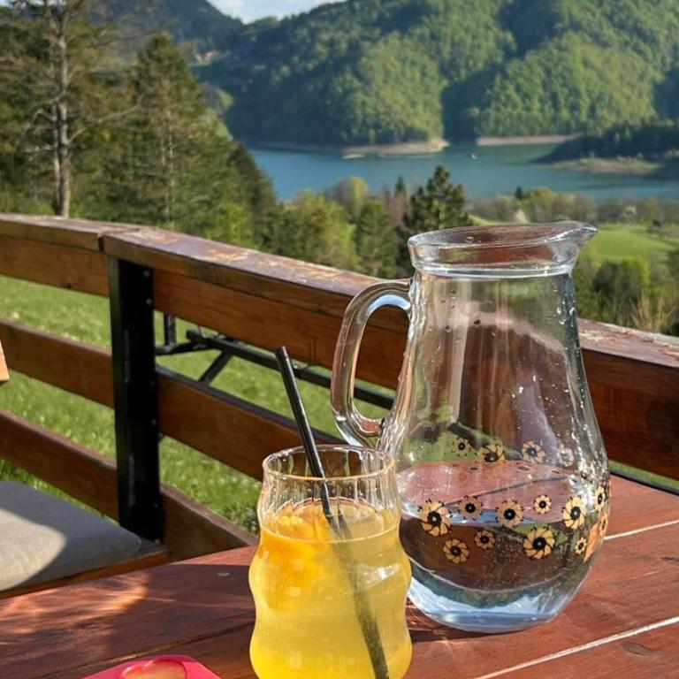 Zaovinska Panorama I - Apartman sa 1 Spavaćom Sobom - 11