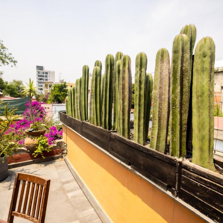 Hacienda Gobernadores Boutique Stay in a Historic 19th-Century Hacienda - Suite with Terrace - 3
