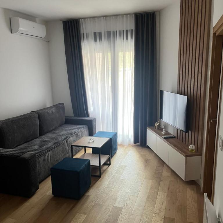 Balkan Square 55 - One-Bedroom Apartment - 5