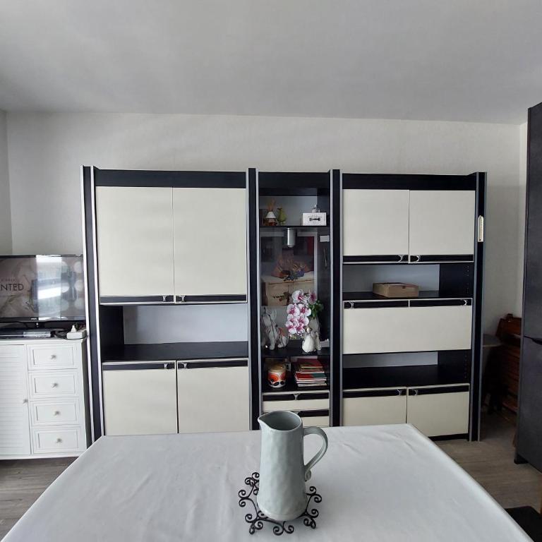 Studio 50M plage - Studio - 10