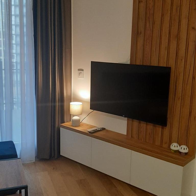 Balkan Square 55 - One-Bedroom Apartment - 6