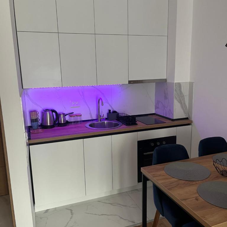 Balkan Square 55 - One-Bedroom Apartment - 8