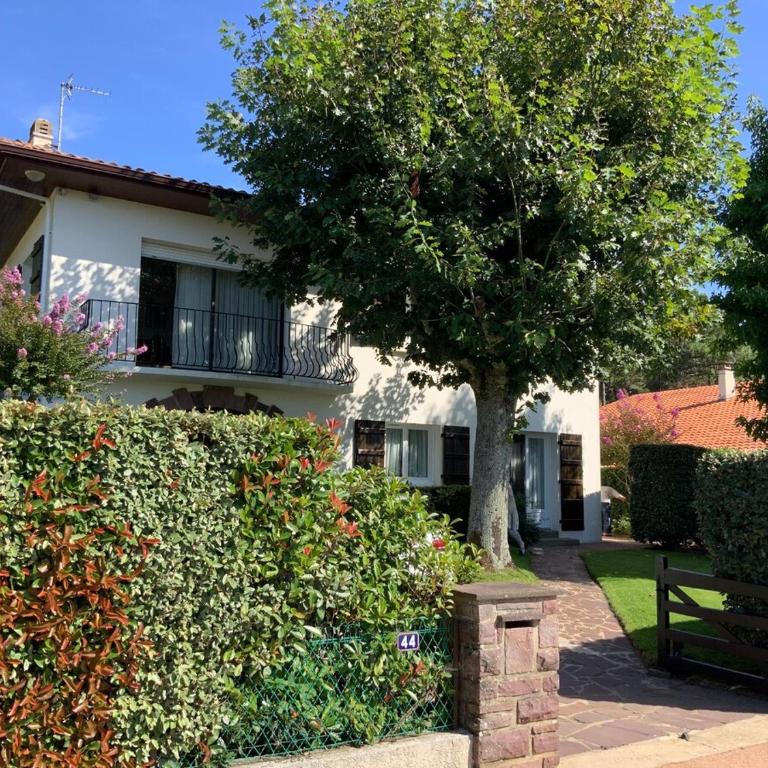 Appartement à Capbreton en bordure de forêt - Apartamento de 2 dormitorios - 1
