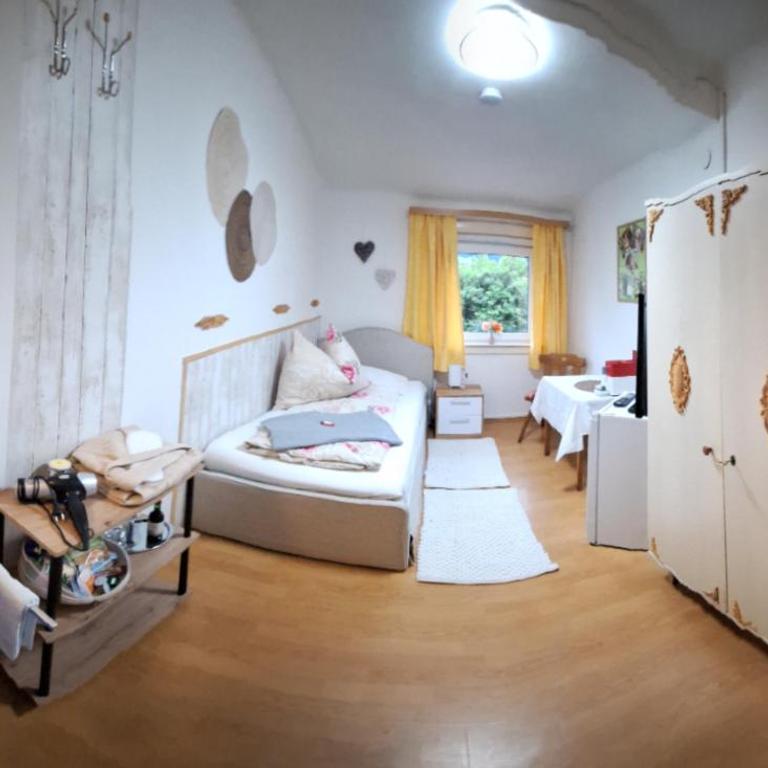 Haus Hoogendam - Camera Singola Standard con Bagno in Comune - 1