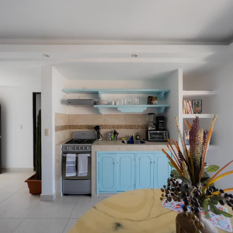 Casa Galeria in PV - Apartamento de 1 dormitorio - 33