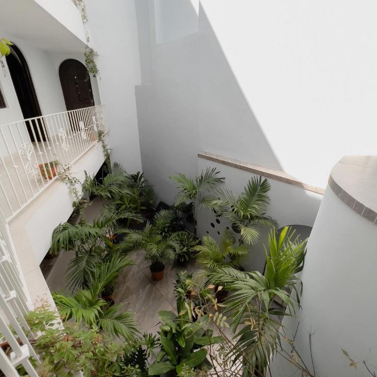 Casa Galeria in PV - Apartamento de 1 dormitorio - 36