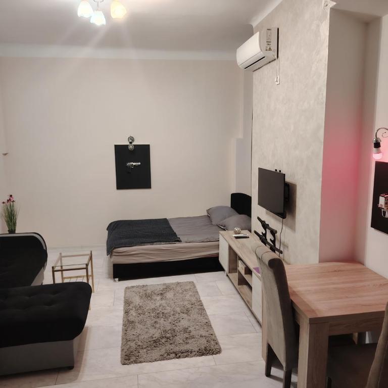 Pablo MovieSTAR - One-Bedroom Apartment - 11