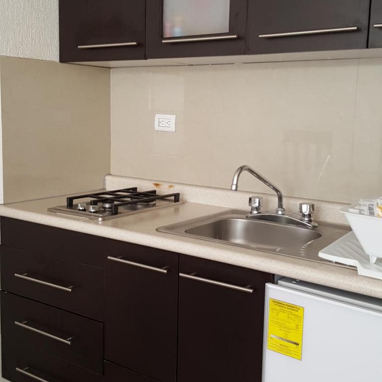 Grupo Kings Suites -Platon 436 - Appartement 1 Chambre - 10