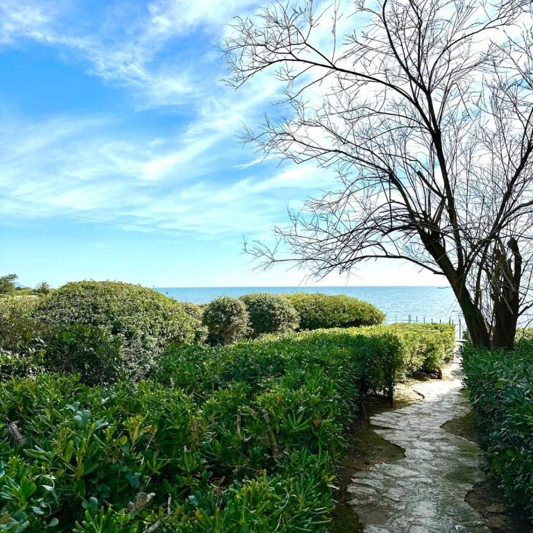 Duplex Bord de Mer St Aygulf - Appartamento con 2 Camere da Letto - 14