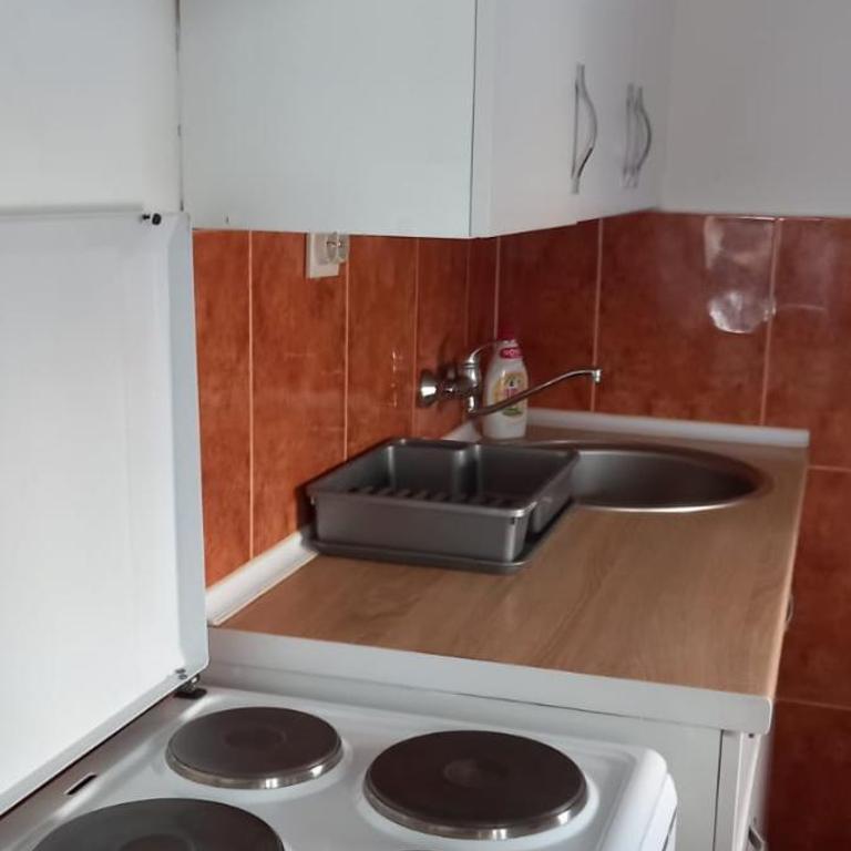 Apartman Olgica - Apartman sa 2 Spavaće Sobe - 11