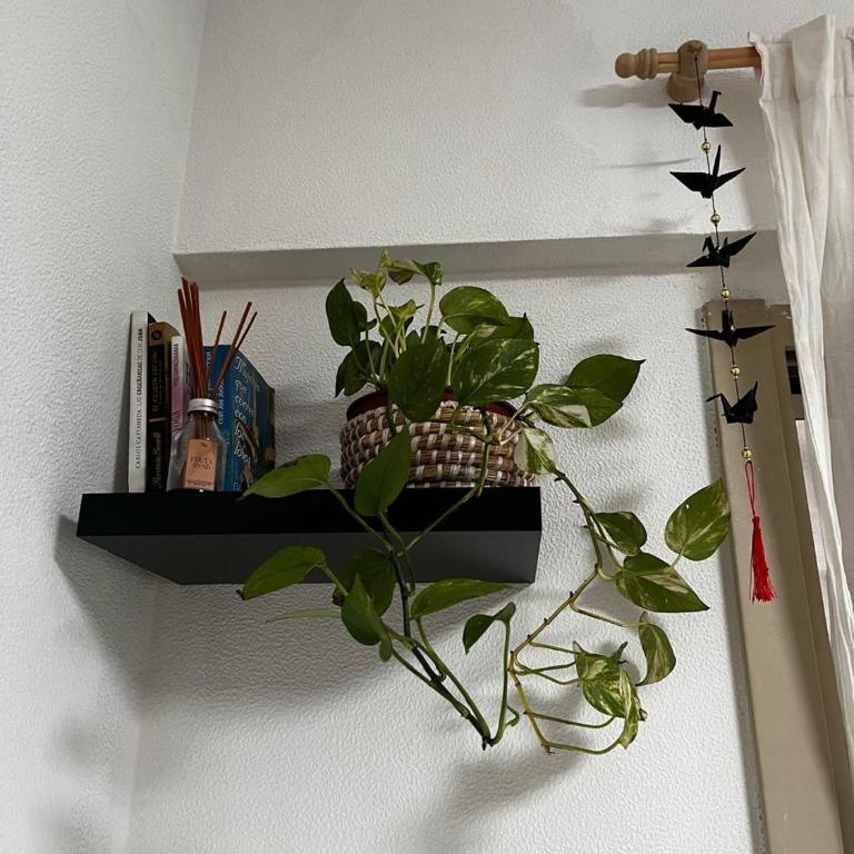 Habitación privada en departamento familiar en Buenos Aires - Habitación Doble con baño compartido - 4