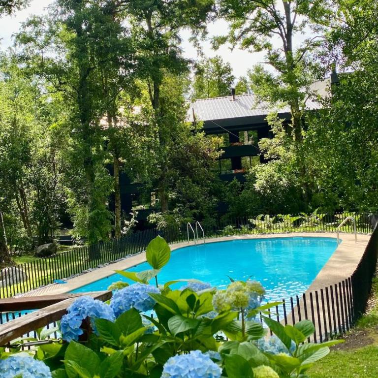 Depto en Pucón Cerca del Centro de Ski, Naturaleza y Piscina - Apartamento de 2 dormitorios - 20