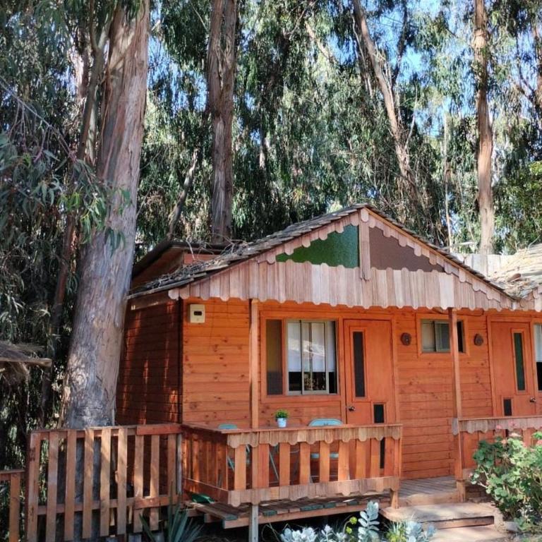 En Los Pinares DE NERUDA disfruta Cabañas y suites - Suite with Terrace - 2