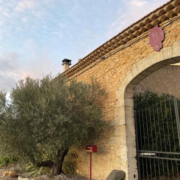 Gite au cœur des vignes - Maison 2 Chambres - 2