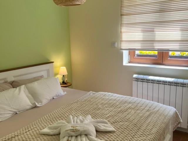 Apartman Korićanac I Vrnjačka Banja - One-Bedroom Apartment - 6