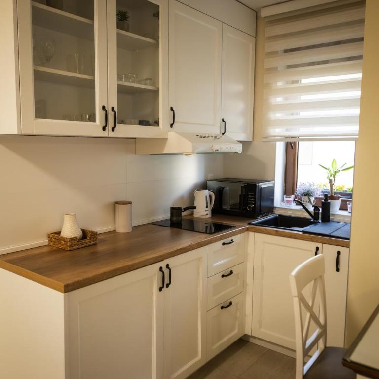 Apartman Korićanac I Vrnjačka Banja - One-Bedroom Apartment - 23