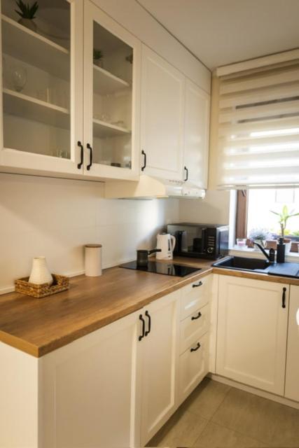 Apartman Korićanac II Vrnjačka Banja - One-Bedroom Apartment - 19