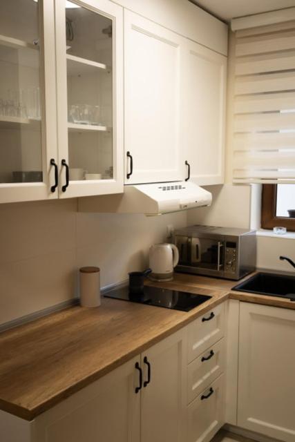 Apartman Korićanac II Vrnjačka Banja - One-Bedroom Apartment - 28