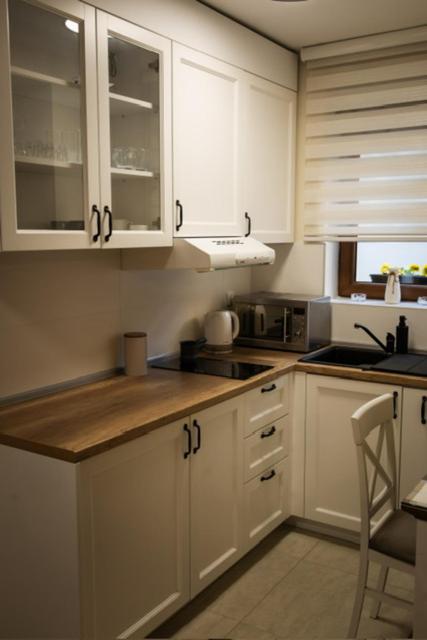 Apartman Korićanac II Vrnjačka Banja - One-Bedroom Apartment - 36