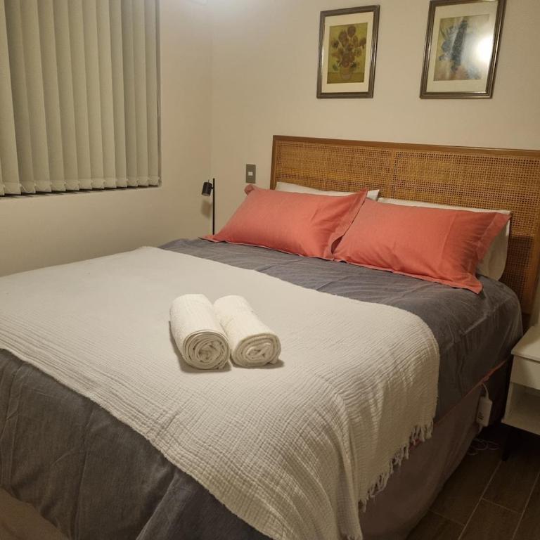 Departamento moderno y central en Chillan - Apartamento de 1 dormitorio - 1