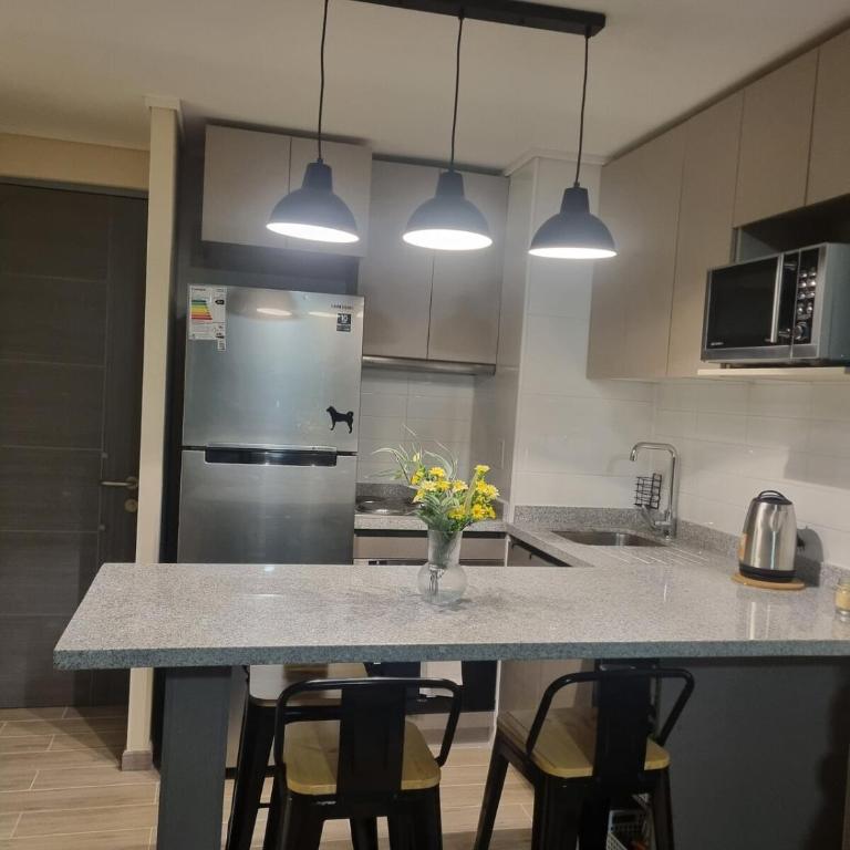 Departamento moderno y central en Chillan - Apartamento de 1 dormitorio - 11