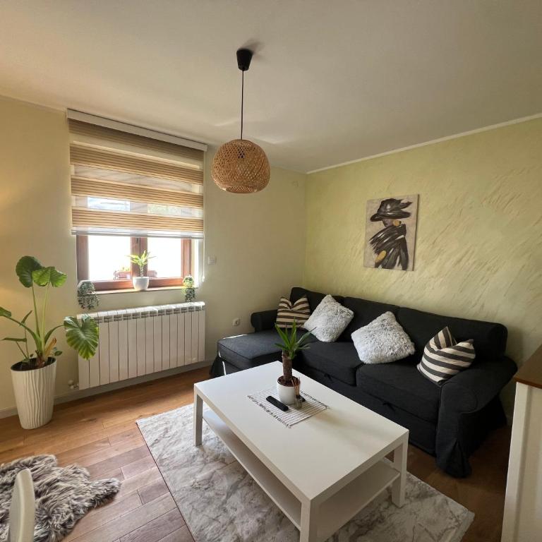 Apartman Korićanac I Vrnjačka Banja - One-Bedroom Apartment - 1