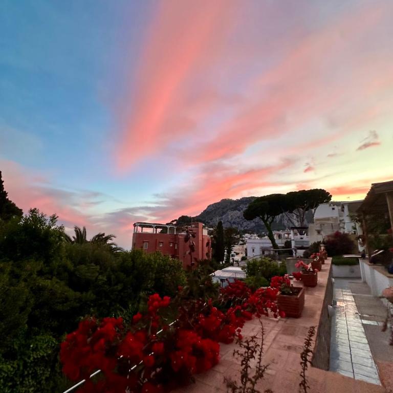 Capri Joy Apartments - Casa con 2 Camere da Letto - 37