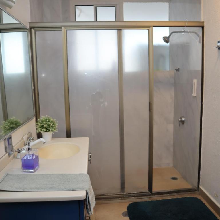 Habitaciones en Masaryk - Habitación Doble con baño privado - 4