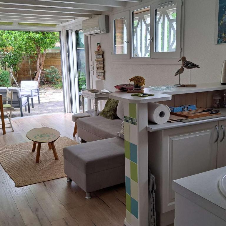 Maison de vacances avec Jacuzzi proche du Lac de Biscarrosse - FR-1-831-12 - Villa - 4